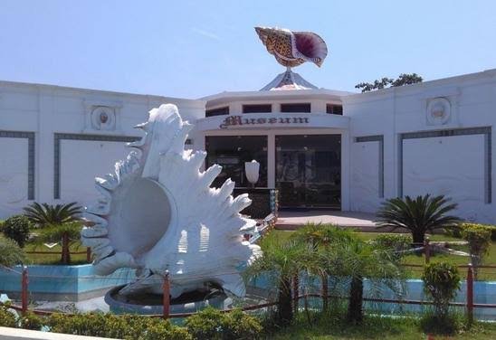 India Seashell Museum Mahabalipuram: Timings, Ticket, Entry Fee, Location
