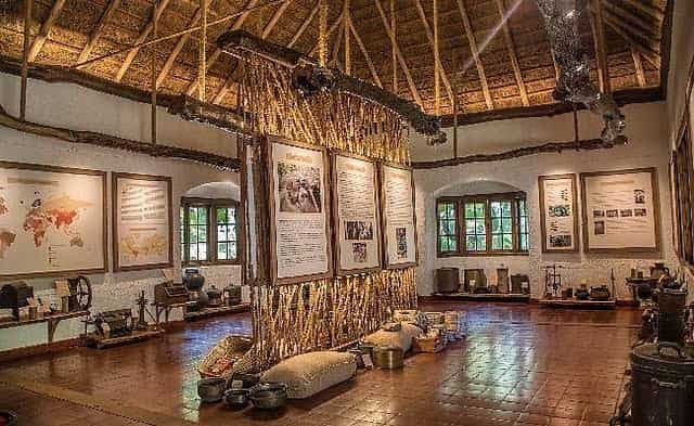 Coffee Museum Chikmagalur: Timings, Ticket, Entry Fee, Location