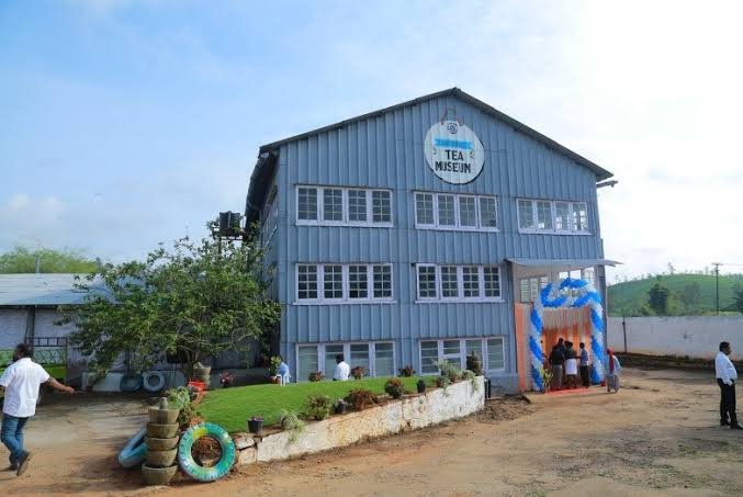 Wayanad Tea Museum Kerala: Timings, Ticket, Entry Fee, Location